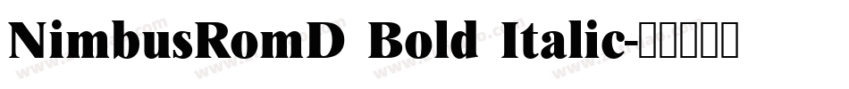 NimbusRomD Bold Italic字体转换
